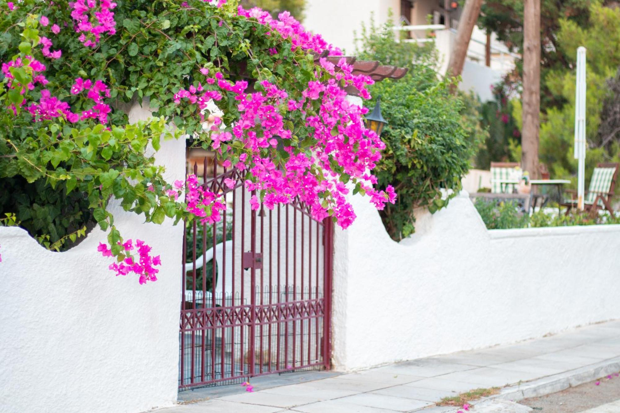 Seaview Apartment - Poros Relaxing Beachfront Flat Poros Town Bagian luar foto
